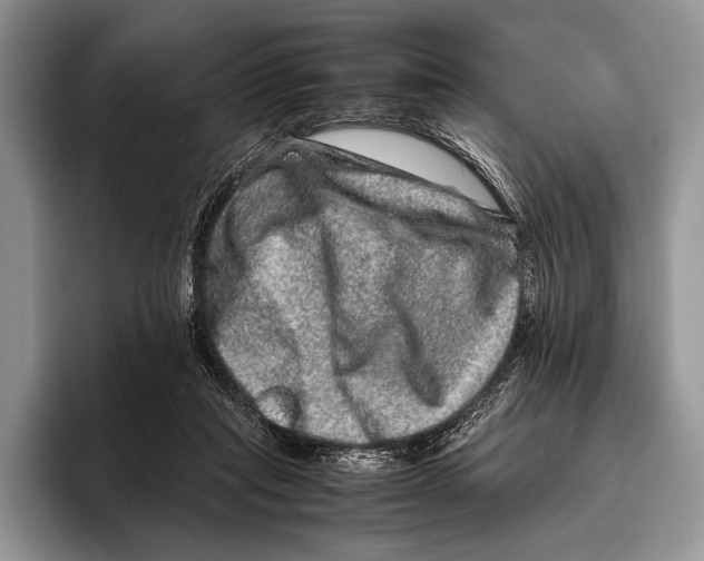 X0000095950261200802081303