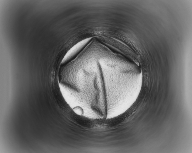 X0000095950263200802081303