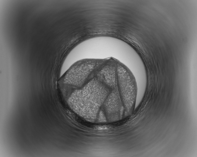 X0000095950264200802081303