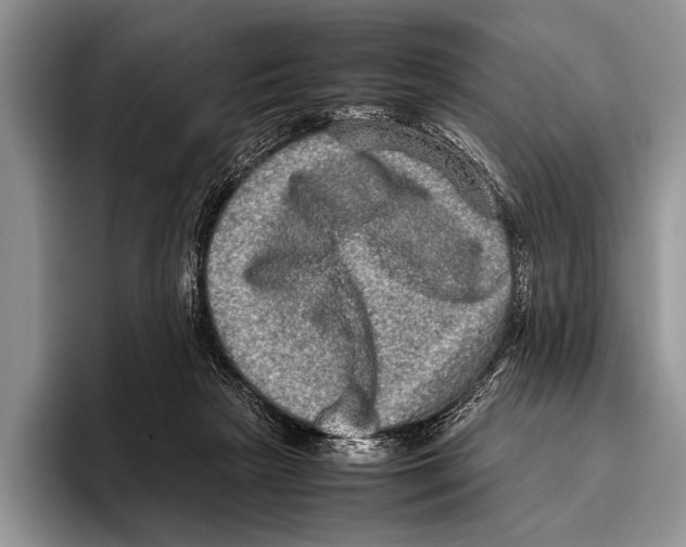 X0000095950265200802081303