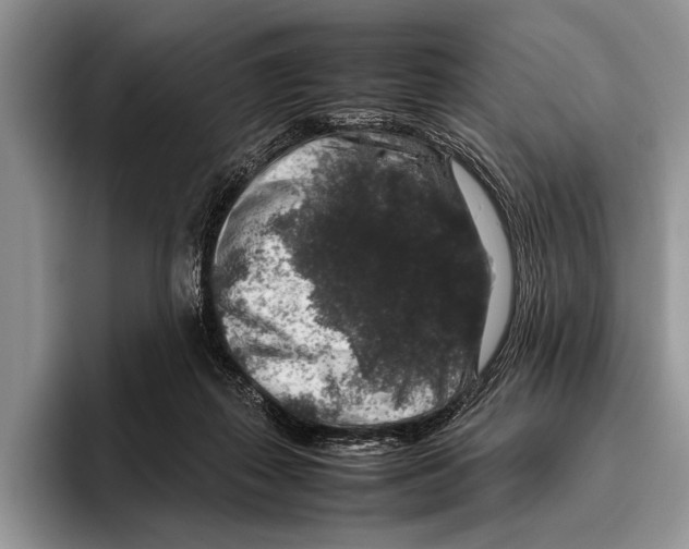 X0000095950267200802081303