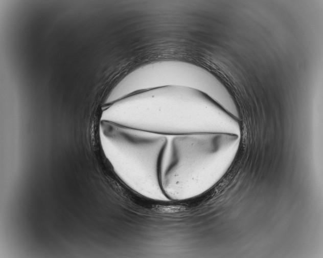 X0000095950268200802081303