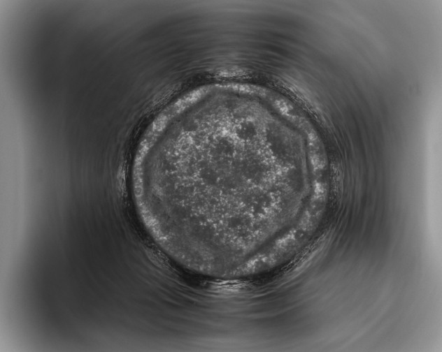 X0000095950269200802081303