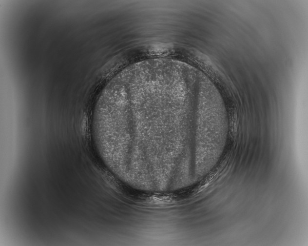 X0000095950270200802081303