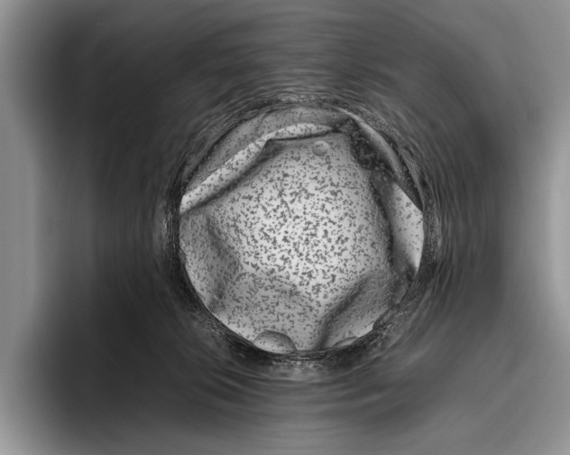 X0000095950276200802081303