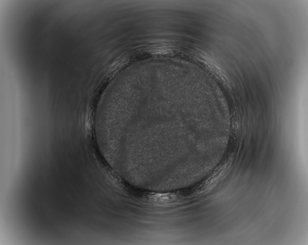 X0000095950277200802081303