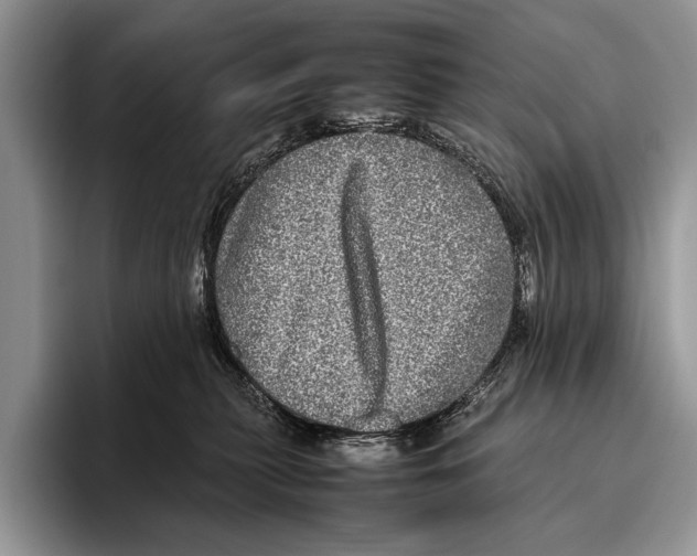 X0000095950279200802081303