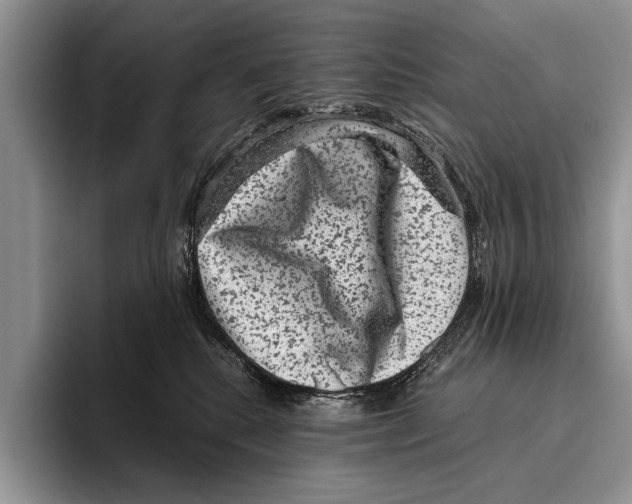 X0000095950280200802081303