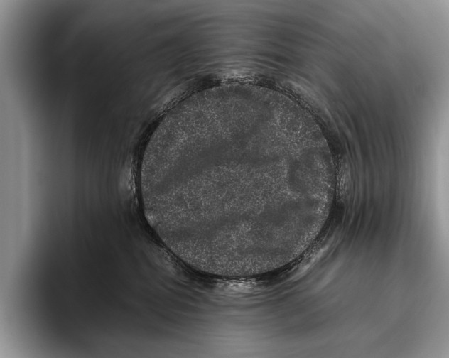 X0000095950282200802081303