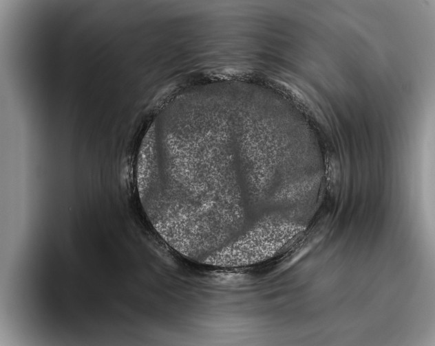 X0000095950284200802081303