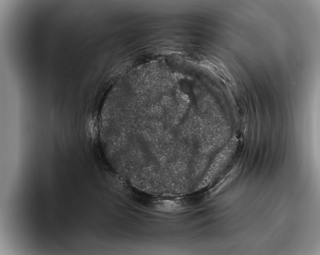 X0000095950285200802081303