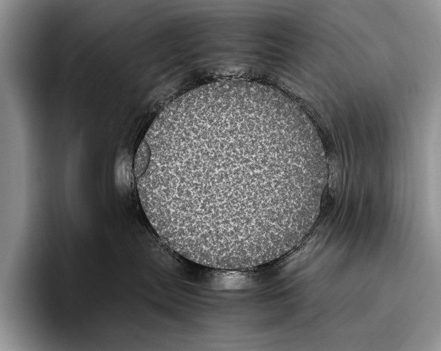 X0000095950287200802081303