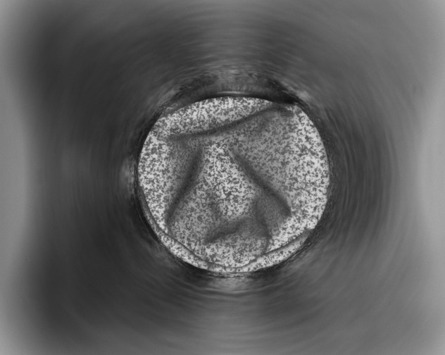 X0000095950288200802081303