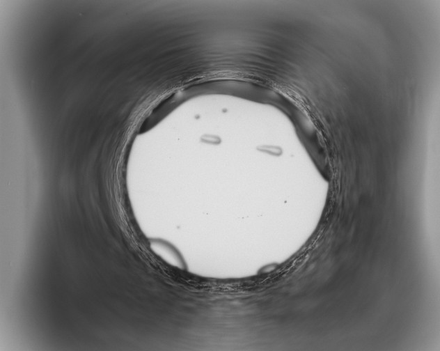 X0000095950289200802081303