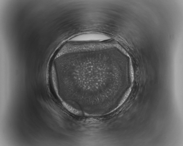 X0000095950290200802081303