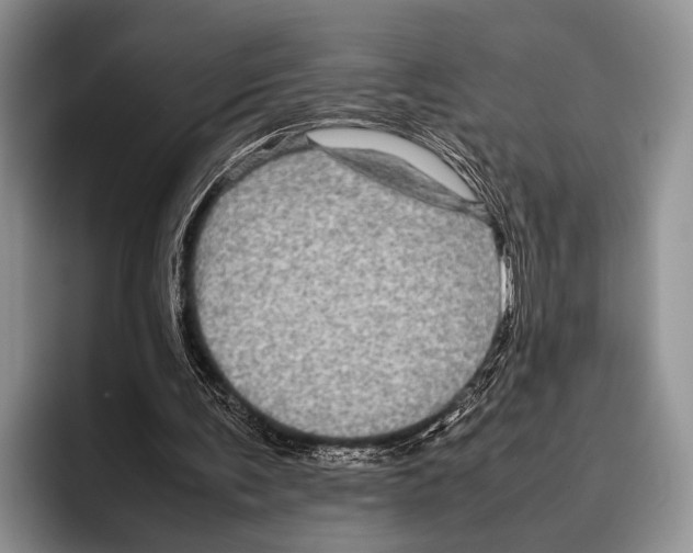 X0000095950291200802081303