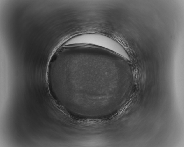 X0000095950292200802081303