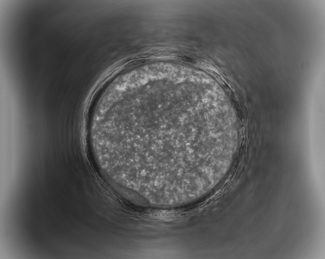 X0000095950293200802081303