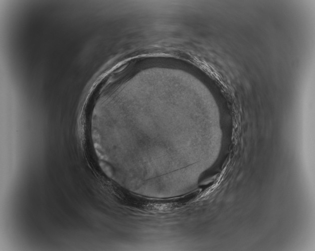 X0000095950295200802081303