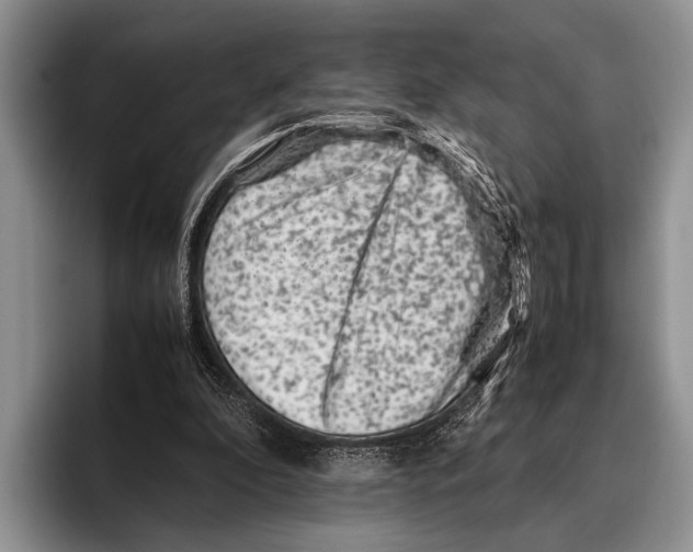 X0000095950296200802081303