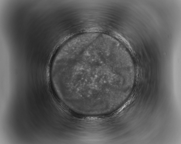 X0000095950298200802081303