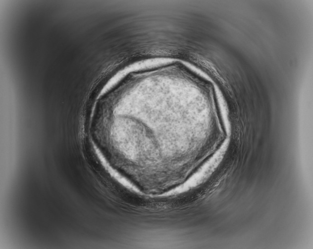 X0000095950299200802081303