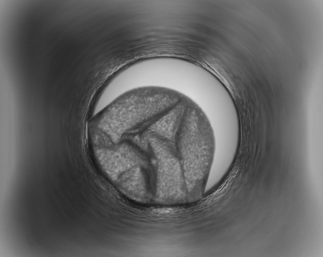 X0000095950301200802081303