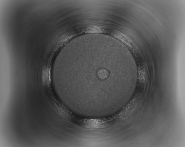 X0000095950302200802081303