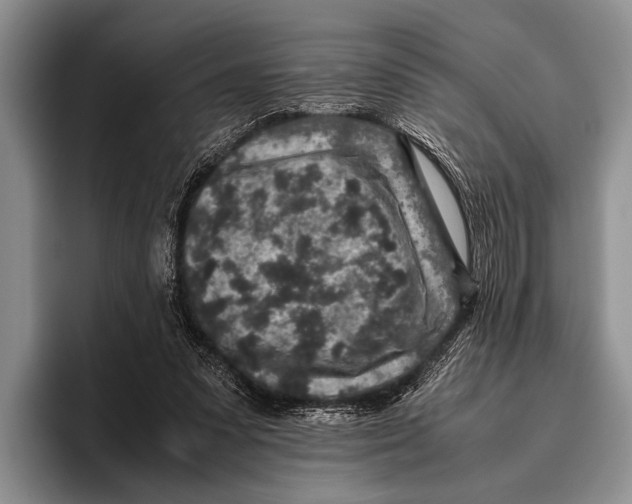 X0000095950303200802081303