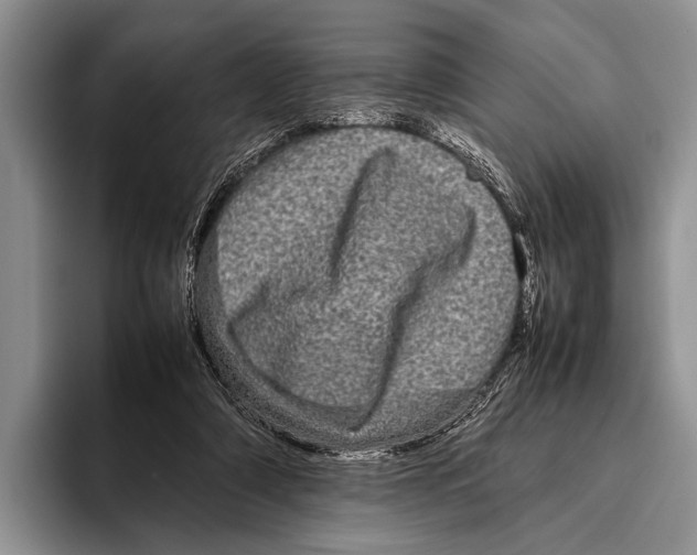 X0000095950306200802081303