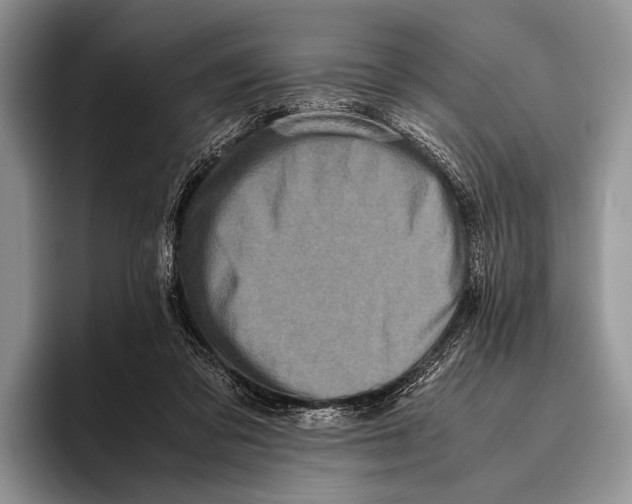 X0000095950309200802081302