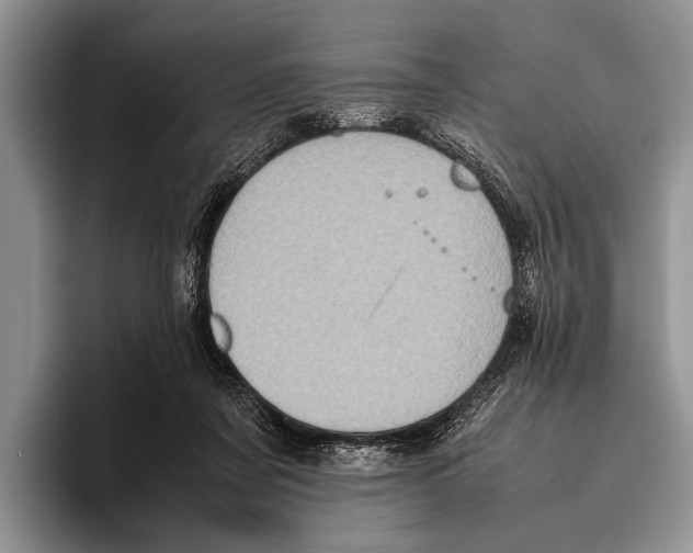 X0000095950311200802081302