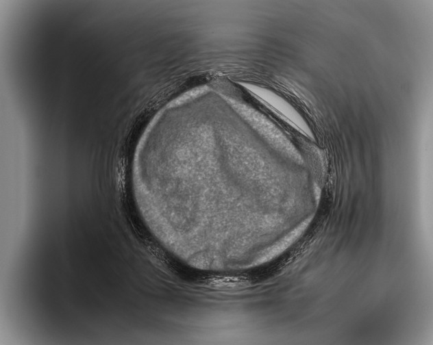 X0000095950315200802081302