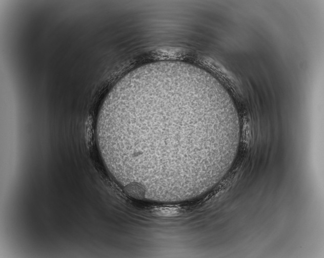 X0000095950318200802081302