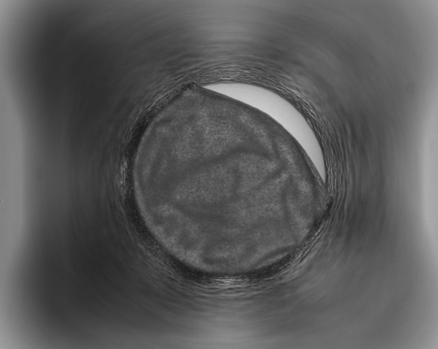 X0000095950319200802081302