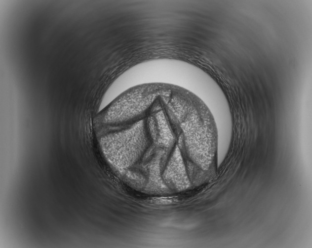 X0000095950320200802081302