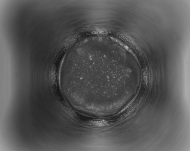 X0000095950322200802081302