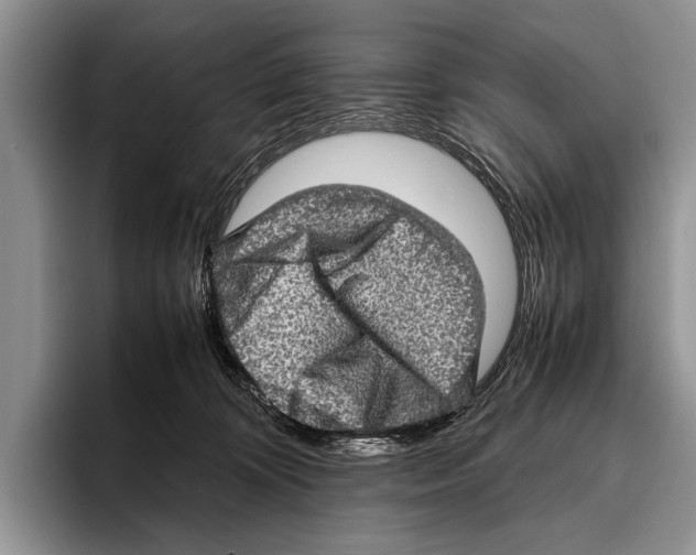 X0000095950324200802081302