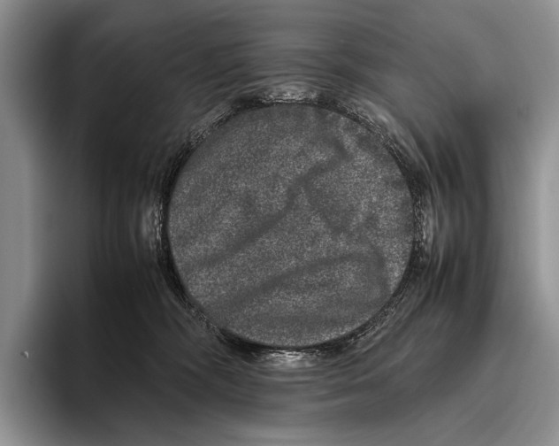 X0000095950326200802081302