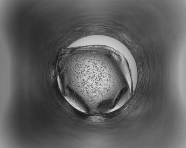 X0000095950327200802081302