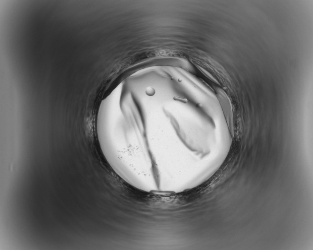 X0000095950329200802081302