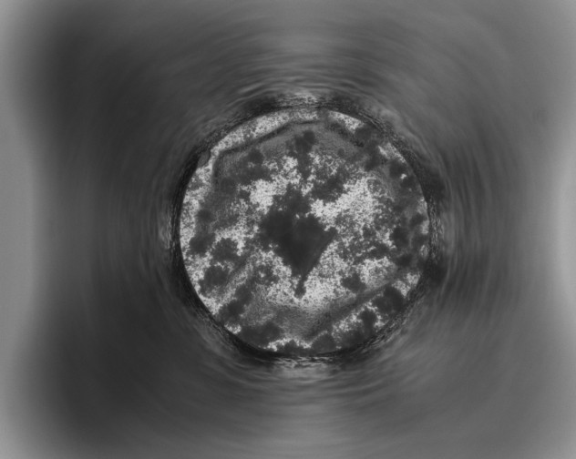 X0000095950331200802081302