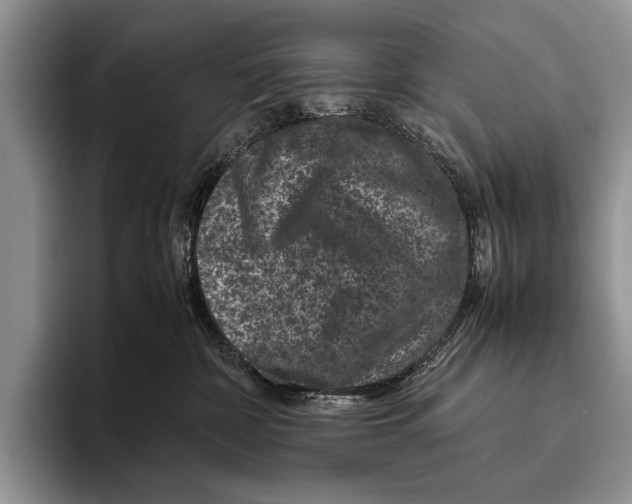 X0000095950332200802081302