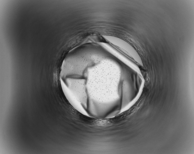 X0000095950333200802081302