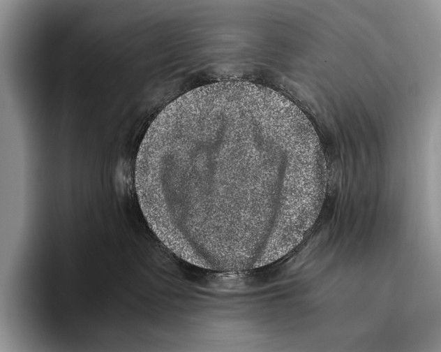 X0000095950335200802081302