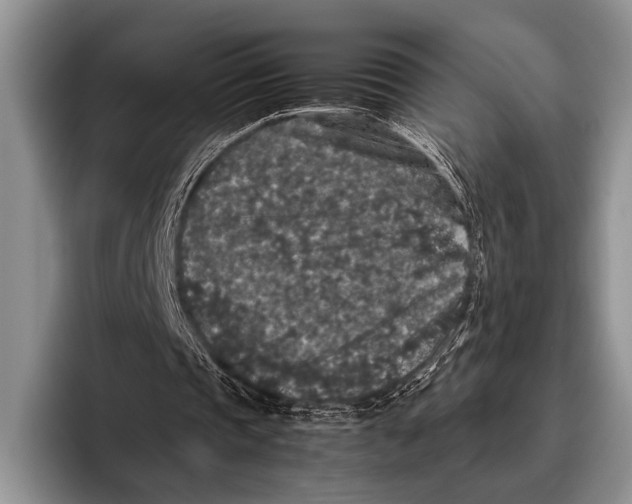 X0000095950337200802081302