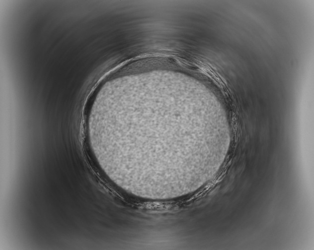 X0000095950338200802081302