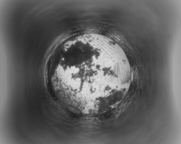 X0000095950339200802081302