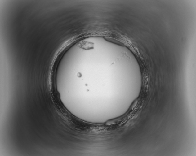 X0000095950340200802081302