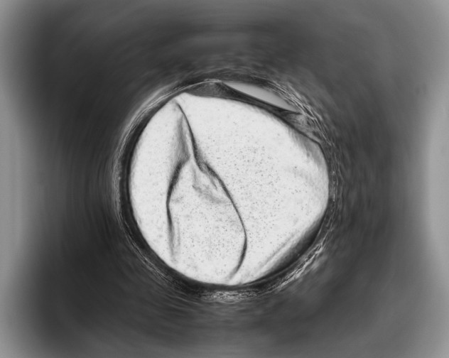 X0000095950341200802081302